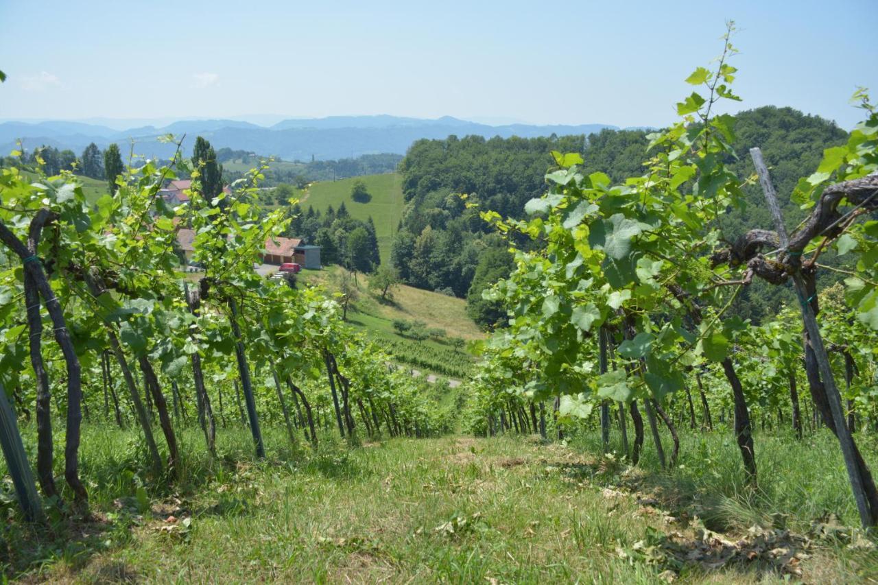 Weingut Pugl Apartment Leibnitz Exterior photo